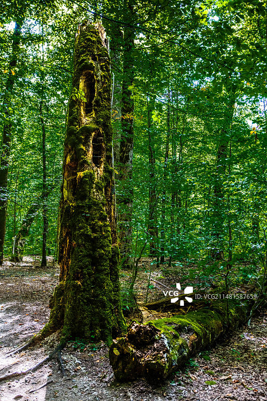 黑山科拉欣，比奥格勒山国家公园和冰川湖图片素材