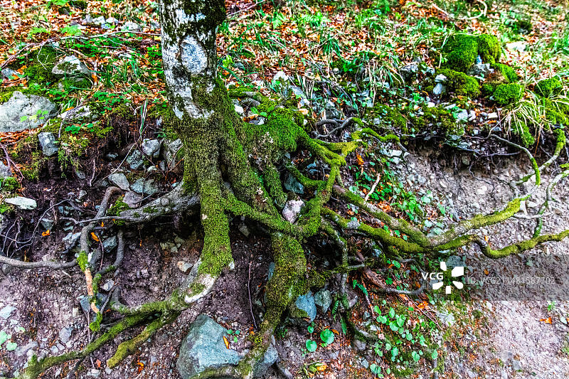 黑山科拉欣，比奥格勒山国家公园和冰川湖图片素材