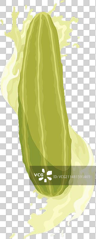 自制腌黄瓜插画图片素材