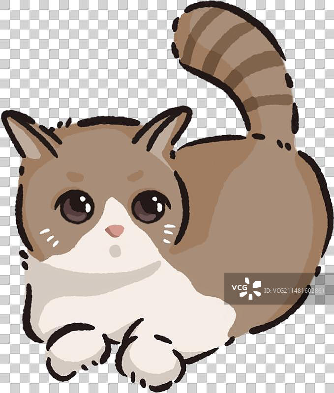 小猫图片素材