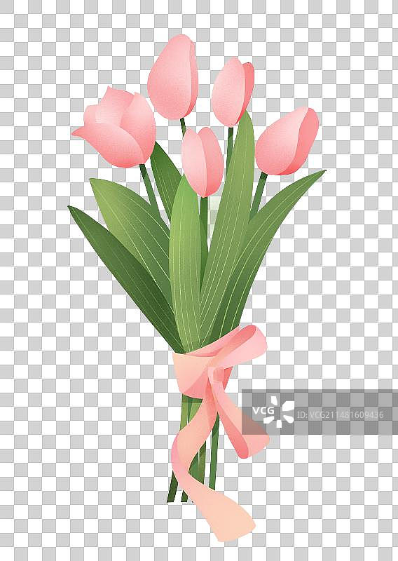 简约创意郁金香手绘插画图片素材