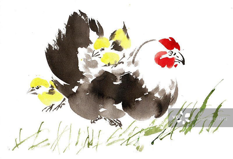 公鸡与小鸡图片素材