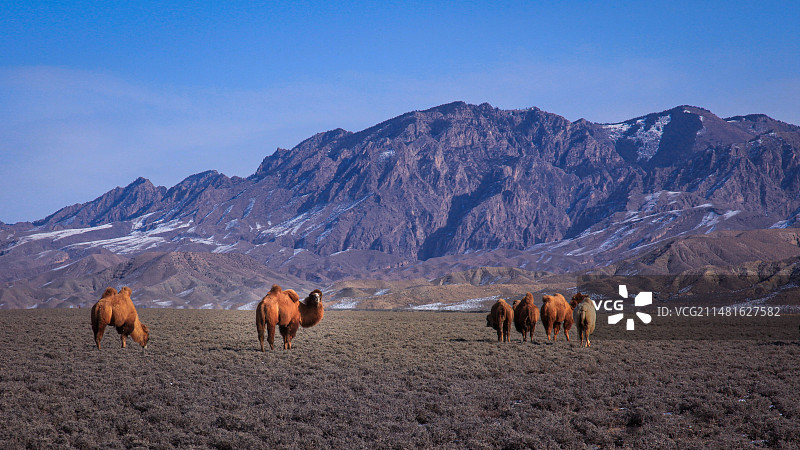 贺兰山西麓内蒙阿拉善图片素材