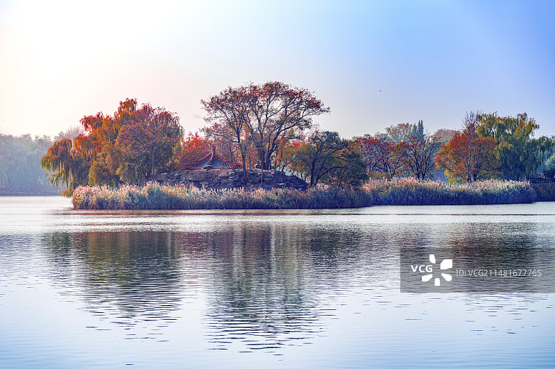 圆明园遗址公园蓬岛瑶台中心湖岛秋天红叶图片素材