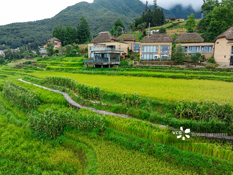 云南省红河哈尼族彝族自治州元阳阿者科风景田园建筑图片素材