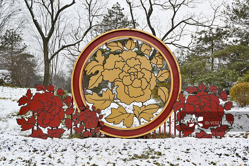 兴庆宫里的牡丹花图形图片素材