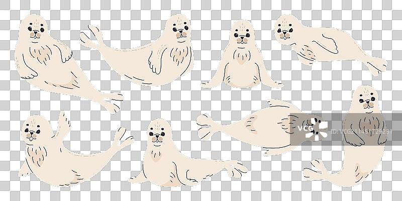 海豹扁平风格插画图片素材