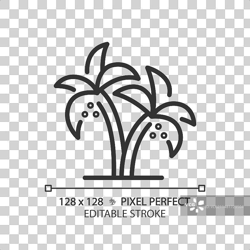 阿联酋枣椰树线性图标图片素材