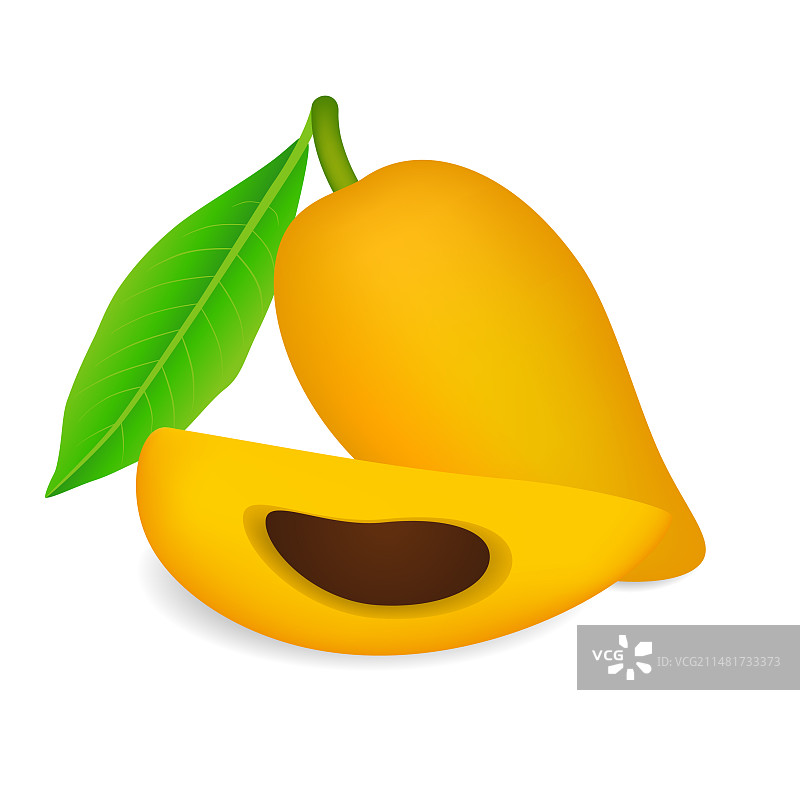 蛋黄果，白色背景图片素材