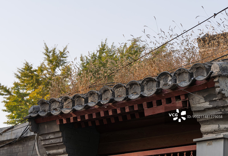 北京四合院 门楼狗尾草图片素材