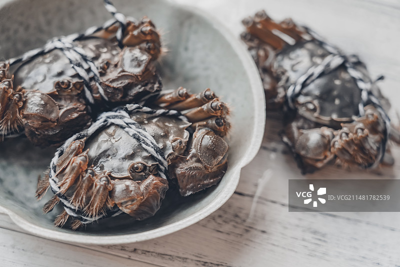 大闸蟹图片素材