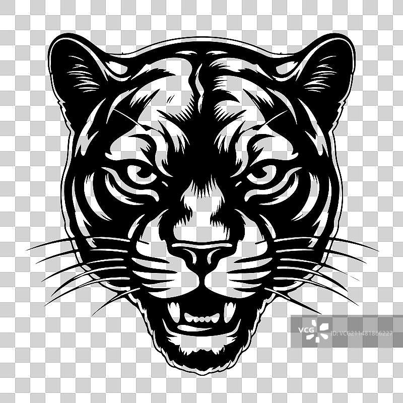 手绘黑豹肖像图片素材