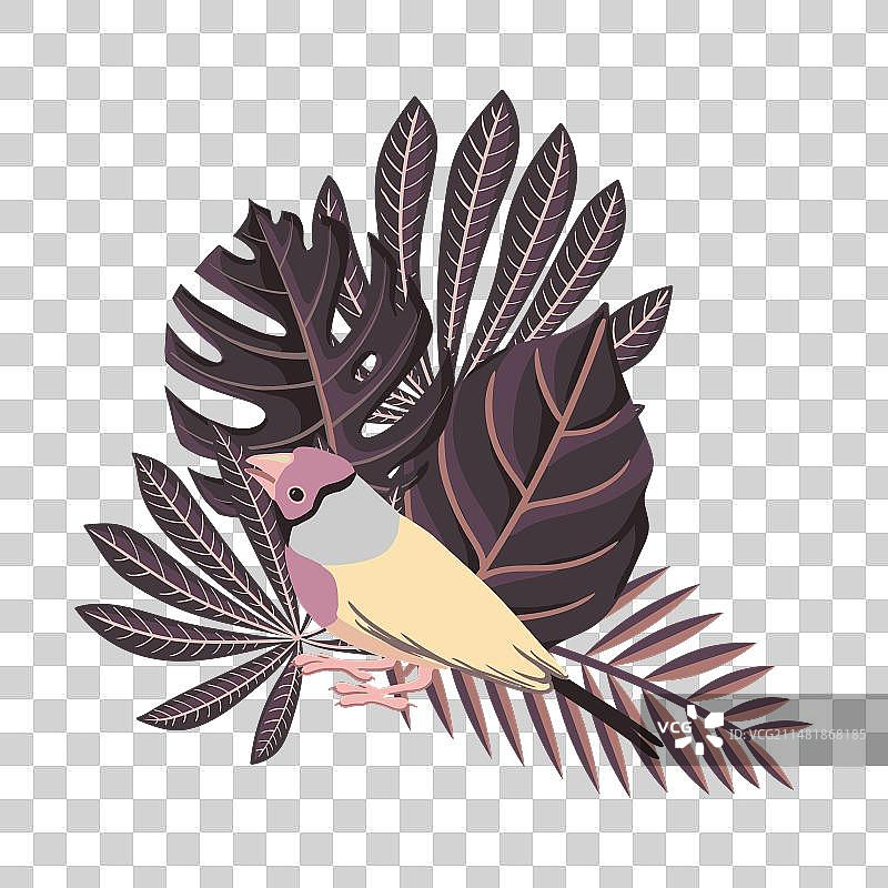 胡锦鸟绘画图片素材