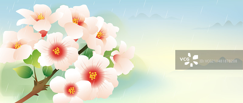 清明节桐花插画横版图片素材
