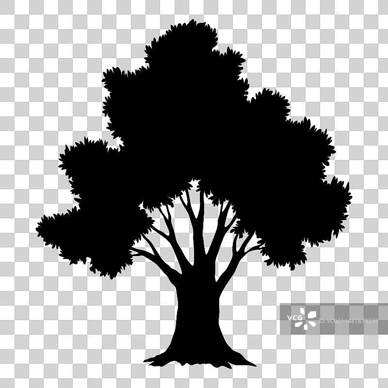 森林公园落叶树剪影图片素材