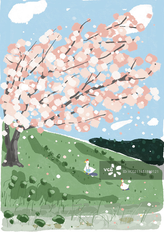 春日杏花清新治愈插画图片素材