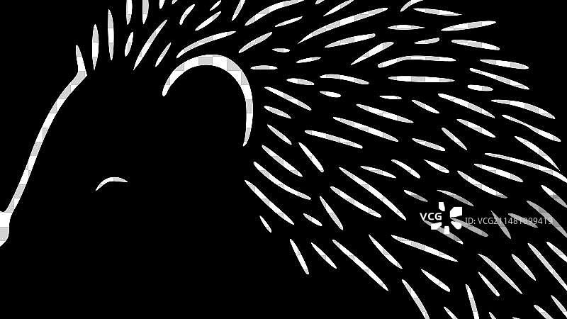 黑白刺猬图片素材