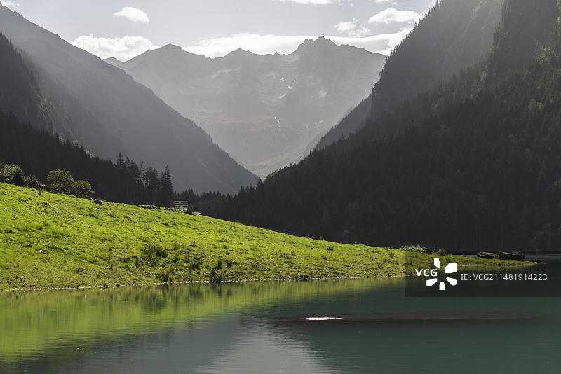 施蒂卢普塔尔,施蒂卢普水库(海拔1116米),施蒂卢普格伦德,迈尔霍芬,水库湖,高山景观,针叶林,逆光,薄雾,齐勒塔尔阿尔卑斯山,蒂罗尔,奥地利,欧洲图片素材