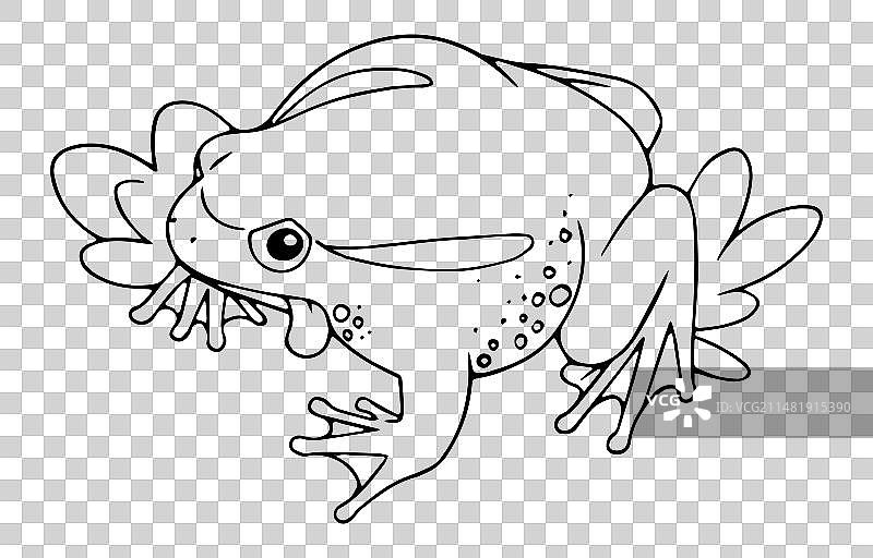 草地上的番茄蛙轮廓图片素材