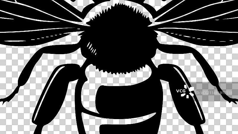 蜜蜂 - 简约扁平风格logo图片素材