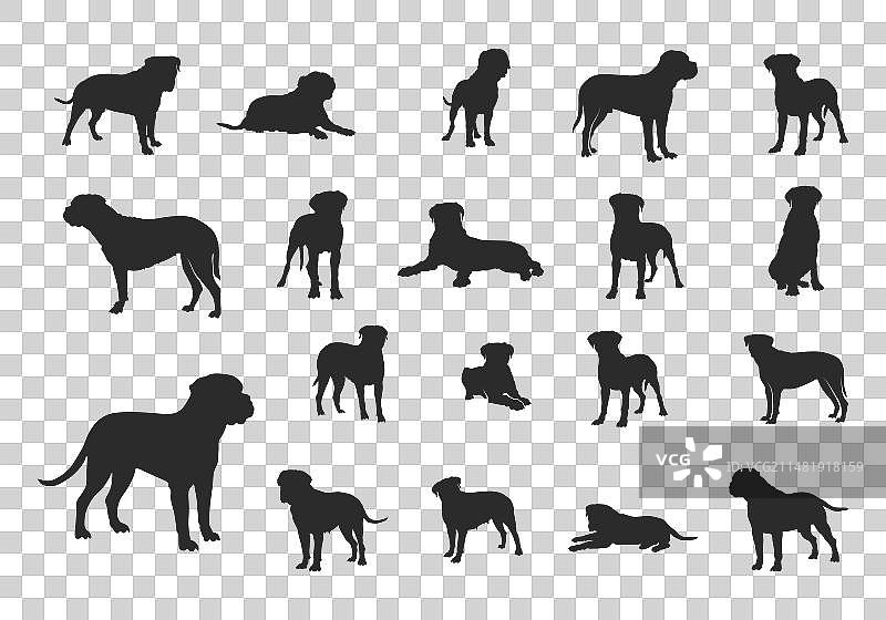 斗牛獒犬剪影SVG图片素材