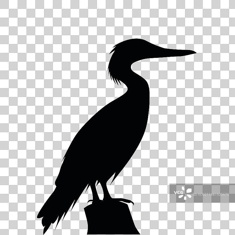 鸬鹚黑色轮廓图片素材