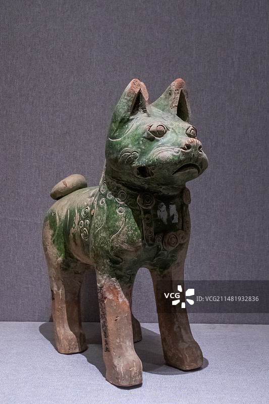 河南省博物院绿釉立姿陶狗汉代公元前206-公元220年项城县出土图片素材