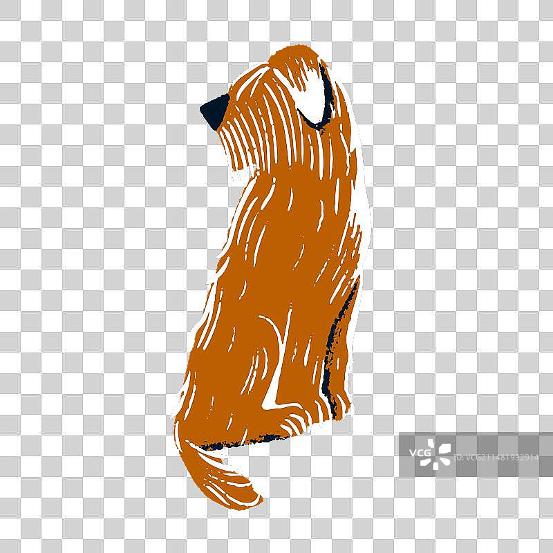 柔软的小麦色梗犬坐着图片素材