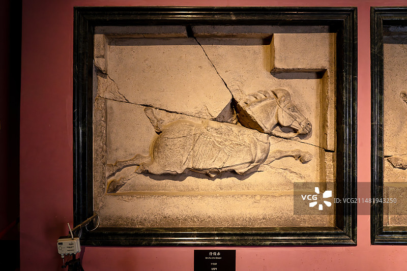 陕西西安碑林博物馆展品昭陵六骏什伐赤图片素材