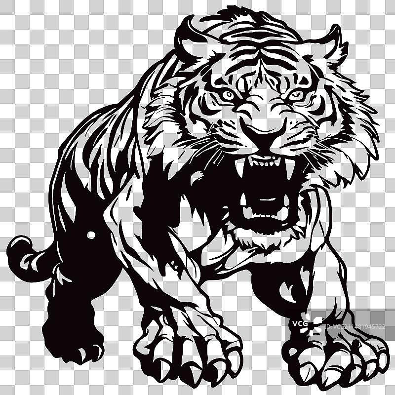 愤怒的老虎贴纸图片素材