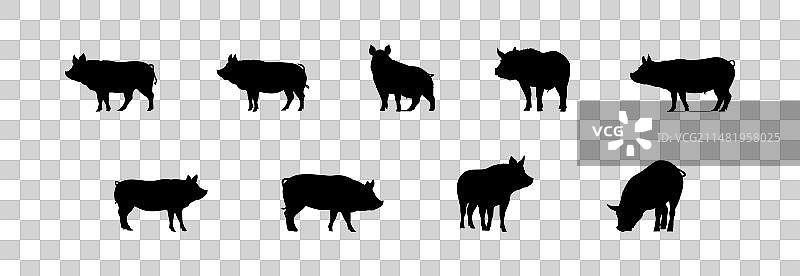 黑色小猪卡通剪影图片素材