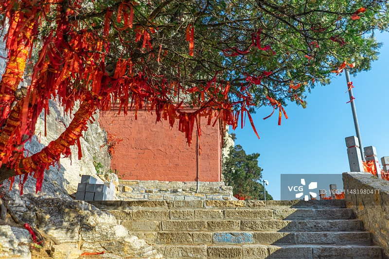 中国山东济南泰安泰山旅游著名景点大灵岩寺积翠证盟殿，树上缠绕的红色袋子祈福带，户外白昼无人图像摄影图片素材
