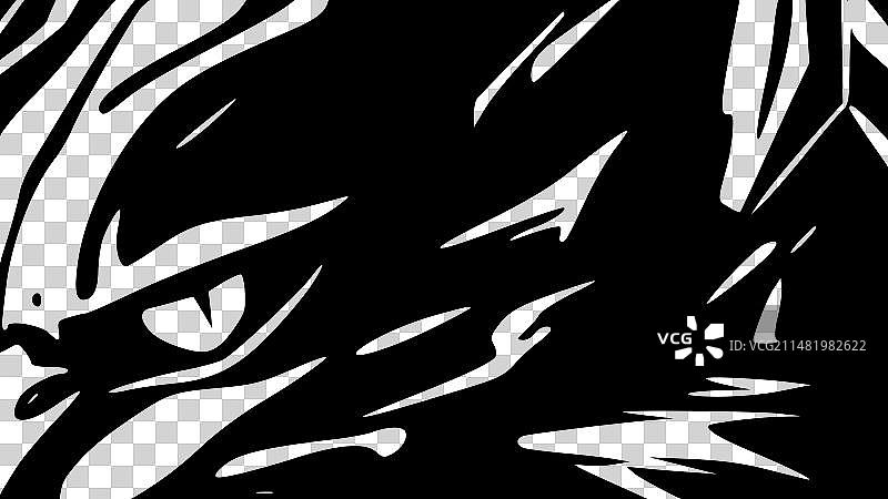 野猫 - 黑白图片素材