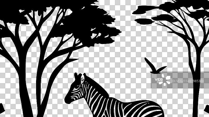 非洲黑白照片图片素材