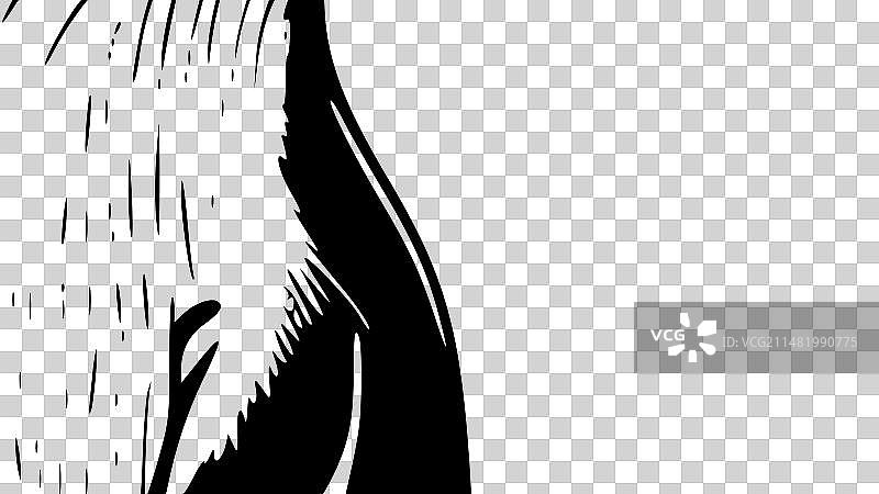 水獭 - 黑白图片素材