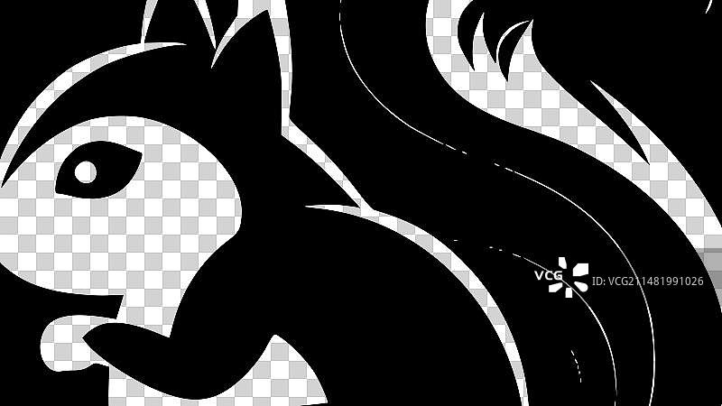 黑白松鼠图片素材