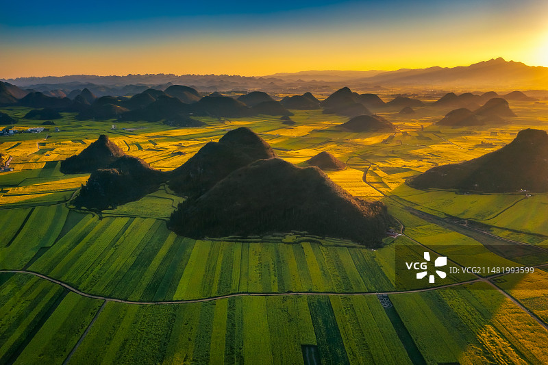 罗平油菜花开正艳，正是春游好时机图片素材