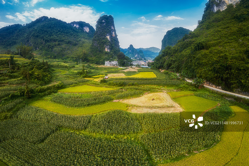 桂西北喀斯特田园风光图片素材