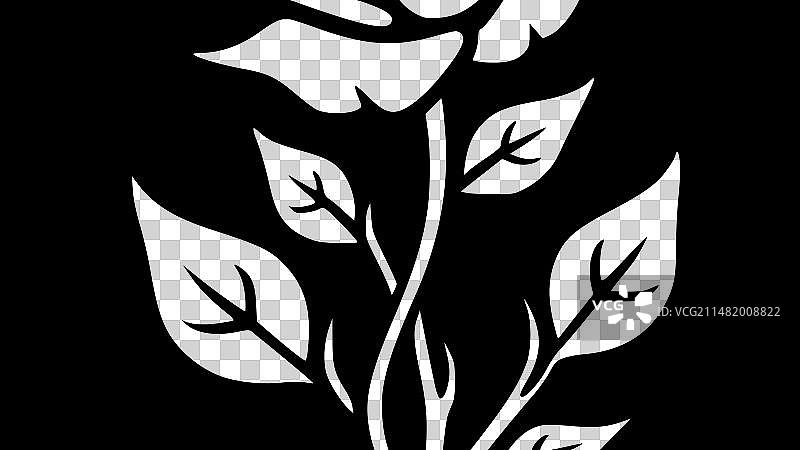 玫瑰花极简剪影图片素材