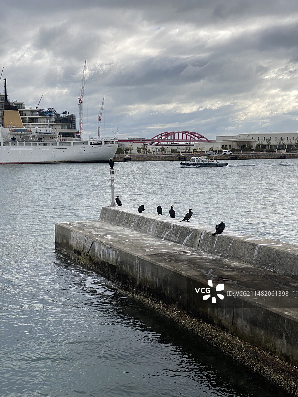 神户港 | 美利坚公园的清晨图片素材