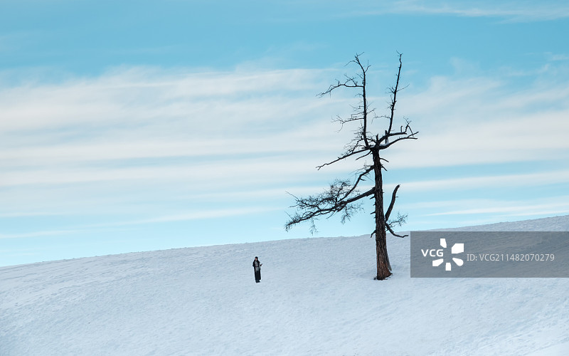 【孤独的树 • 白哈巴】图片素材