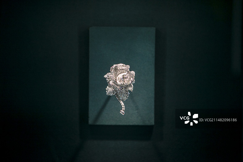 胸花，胸针，16-20世纪典藏珍品艺术展，成都博物馆，珠宝展，收藏品，奢侈品，女王，宝石，奢华，权贵图片素材