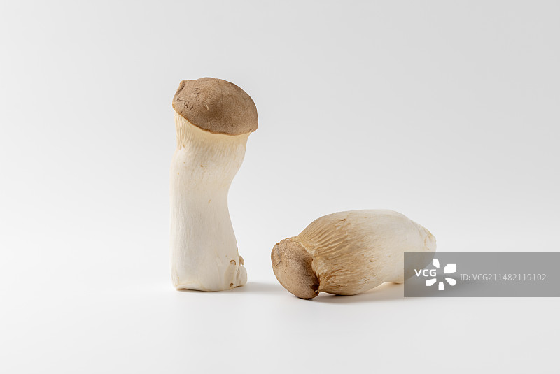 杏鲍菇图片素材