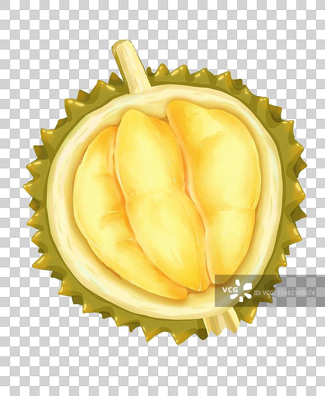 榴莲插画元素图片素材