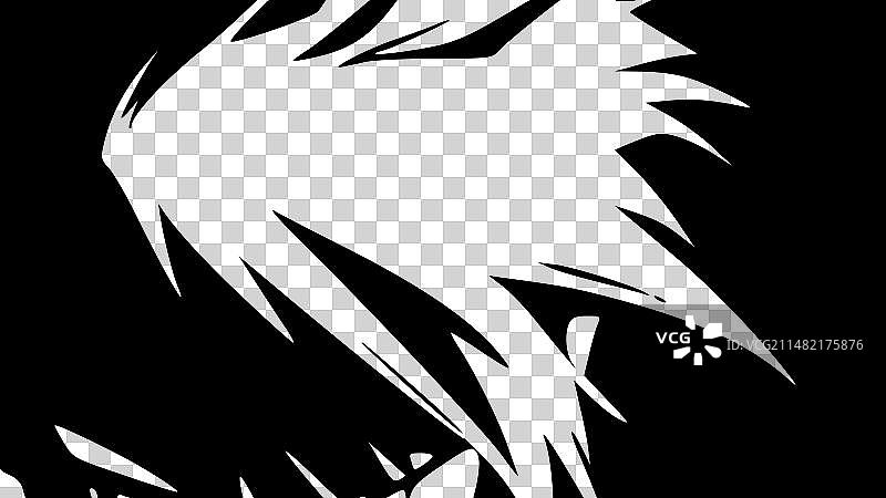 漂白效果 - 黑白图片素材