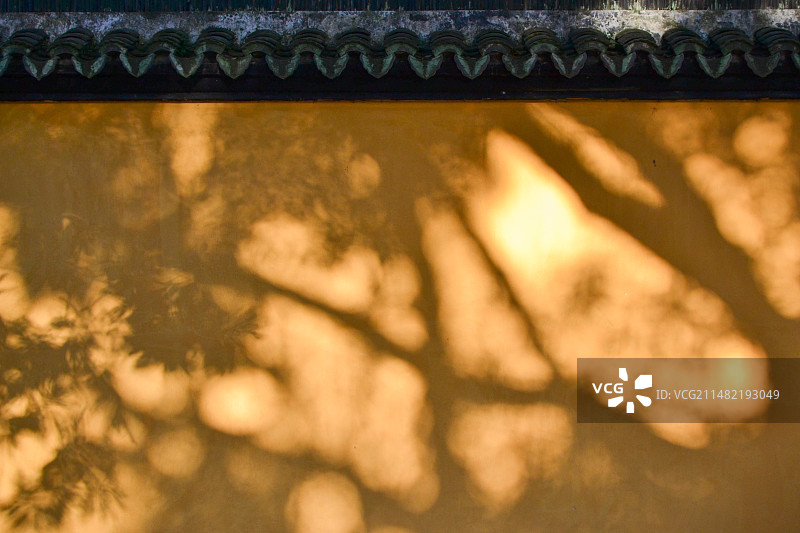 寺院里的黄墙树荫和中式瓦片屋檐 背景 （浙江湖州南浔古镇广惠宫）图片素材