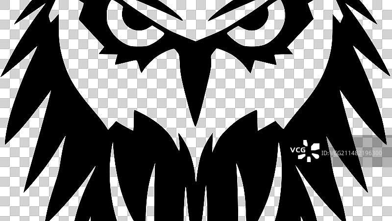 猫头鹰——黑白相间图片素材