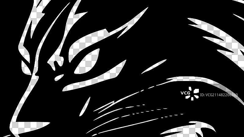 野猫 - 黑白图片素材