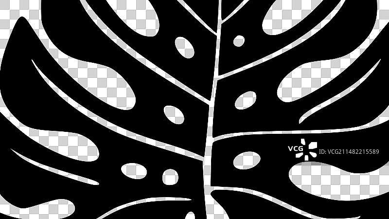 龟背竹极简扁平风格标志图片素材