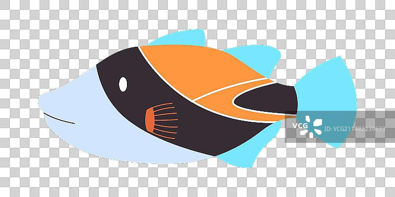 色彩艳丽的炮弹鱼图片素材